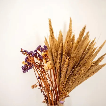 Guestready - Colorful Marreiros Heart ליסבון